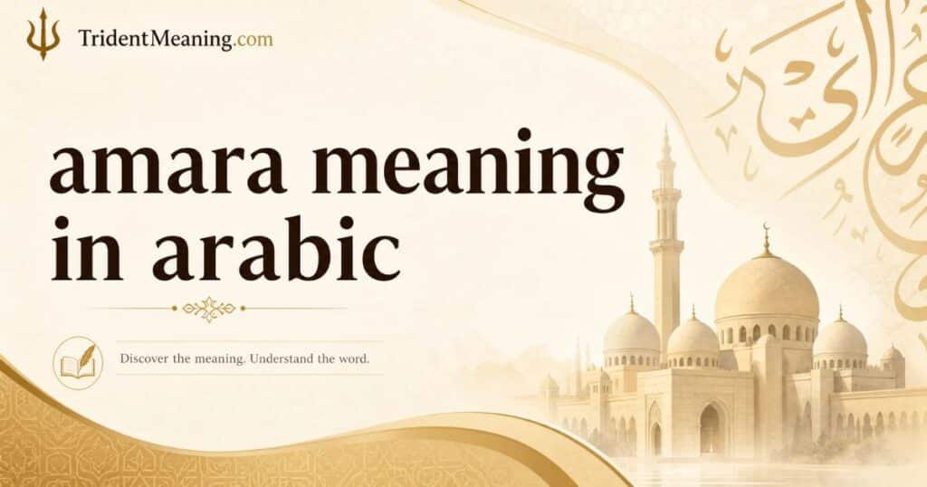 amara-meaning-in-arabic