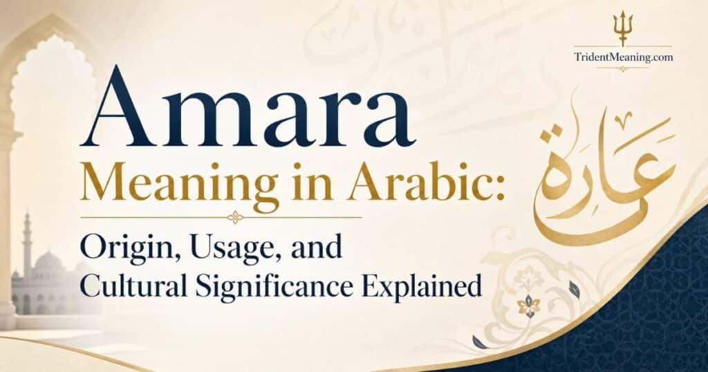 amara-meaning-in-arabic-origin-usage-and-cultural-significance-explained