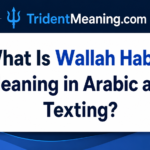 what-is-wallah-habibi-meaning-in-arabic-and-texting