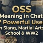 oss-meaning-in-chat-7-powerful-uses-in-slang-martial-arts-school-and-ww2