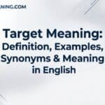 target-meaning-definition-examples-synonyms-and-meaning-in-english