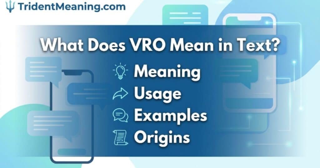 what-does-vro-mean-in-text-meaning-usage-examples-and-origins