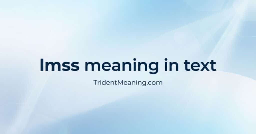lmss-meaning-in-text