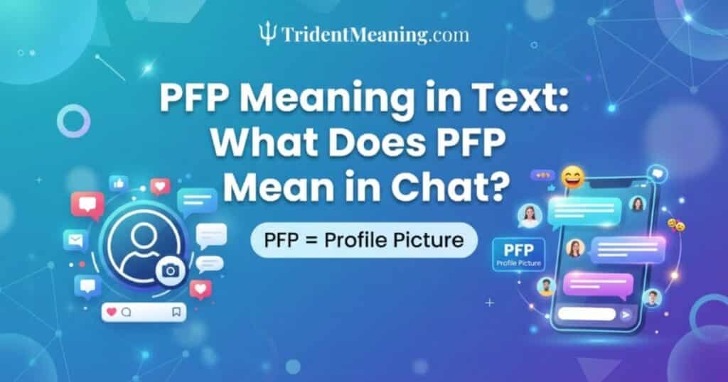 pfp-meaning-in-text-what-does-pfp-mean-in-chat