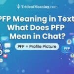 pfp-meaning-in-text-what-does-pfp-mean-in-chat