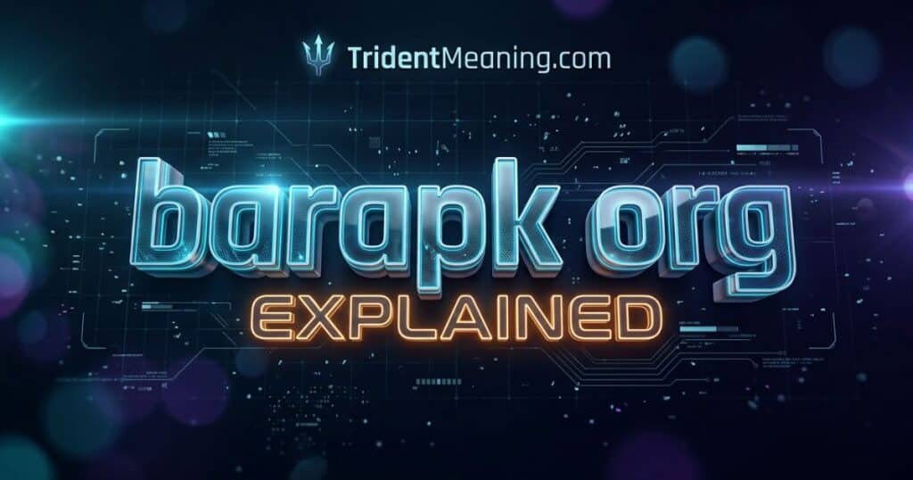 barapk-org-explained