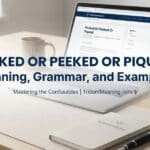 peaked-or-peeked-or-piqued-meaning-grammar-and-examples