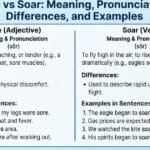 sore-vs-soar-meaning-pronunciation-differences-and-examples